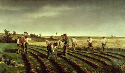 Esparmun korjuu Chambaudouinissa, 1882 tekijältä Pierre Edmond Alexandre Hedouin