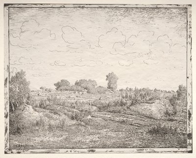 Plant Plain Biaussa. tekijältä Pierre Etienne Theodore Rousseau