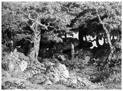 Chenes de Roche, c1832-1860, 1924 tekijältä Pierre Etienne Theodore Rousseau