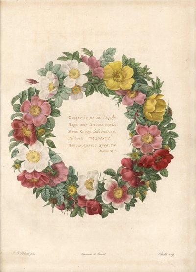 Ruusukruunu kreikkalaisella mottolla - Charlinin Eau forte Pierre Joseph Redouten (1759-1840) kuvituksen jälkeen Les Rosesista tekijältä Pierre Joseph Redouté