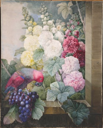 Hollyhocks, viinirypäleet ja papukaija, 1836. tekijältä Pierre Joseph Redouté