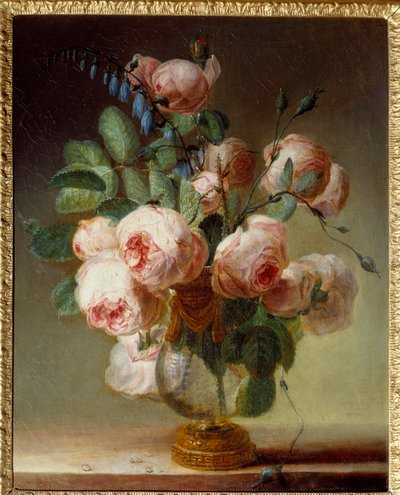 Kukkamaljakko Kimppu pioneja. Pierre Joseph Redouten (1759-1840) maalaus 1800-luvun aurinko. 0,46x0,37 m Rouen, Musee des Beaux Arts tekijältä Pierre Joseph Redouté