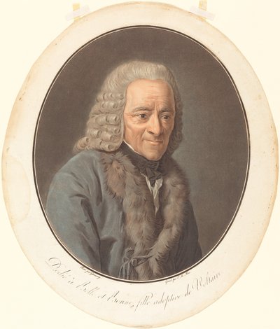 Voltaire finès tekijältä Pierre Michel Alix