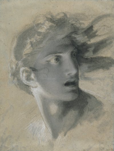 Koston pää tekijältä Pierre Paul Prud