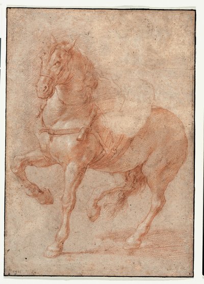 Tutkimus Bucephalus varten Relief "Alexander ja Diogenes" tekijältä Pierre Puget