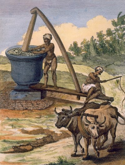 Öljymylly, jota työstää härkäpari, kaiverrettu Poisson, teoksesta "Voyages aux Indes et a la Chine" tekijältä Pierre Sonnerat