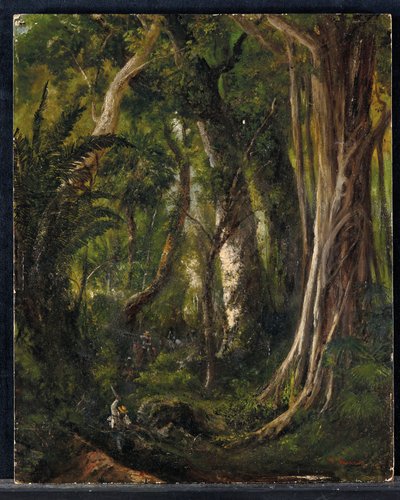 Matkustajat kuubalaisessa metsässä (öljy paneelissa) tekijältä Pierre Toussaint Frédéric Mialhe