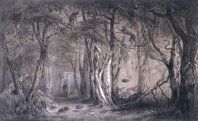 Neitsytmetsä Sinisen Niilin reunalla, Pierre Tremaux
