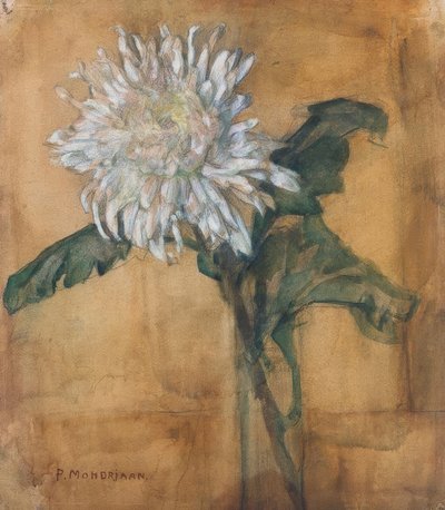 Krysanteemi tekijältä Piet Mondrian
