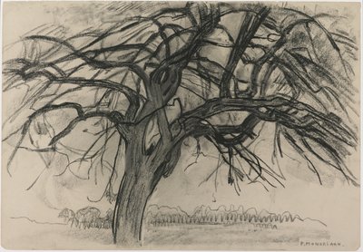 Alustava tutkimus iltaa varten: Punainen puu, 1908 (mustaa värikynää ja hiiltä paperille). tekijältä Piet Mondrian