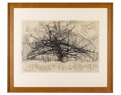 Harmaan puun luonnos, 1911 (mustaa värikynää paperille). tekijältä Piet Mondrian