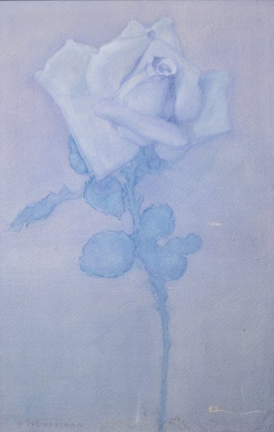 Valkoinen ruusu tekijältä Piet Mondrian
