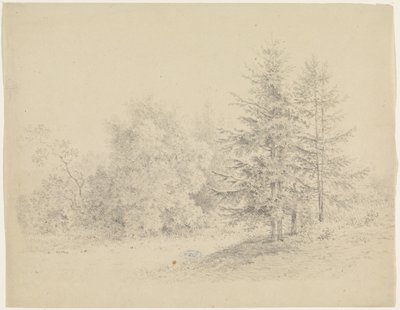 Metsänäkymä mäntyjen kanssa tekijältä Pieter Bartholomeusz. Barbiers