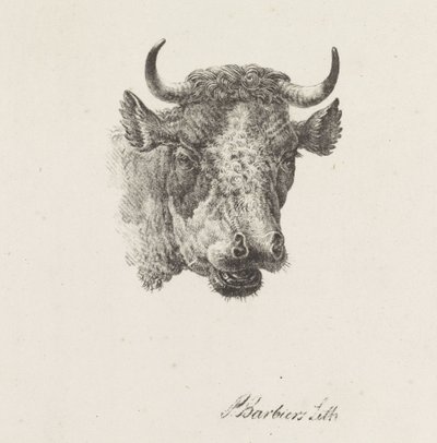 interior del cap de bou tekijältä Pieter Bartholomeusz. Barbiers