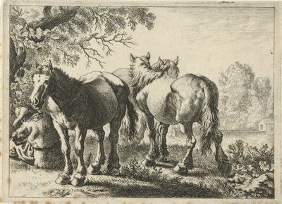 Tres cavalls i un pagès Diferents animals (títol de la sèrie) acabat tekijältä Pieter Bodding van Laer