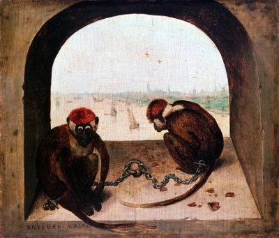 Kaksi apinaa, 1562 tekijältä Pieter Bruegel the Elder