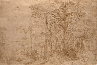 Sylvan maisema viiden karhun kanssa tekijältä Pieter Bruegel the Elder