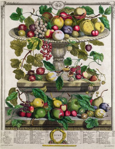 Kesäkuu, teoksesta "Twelve Months of Fruits", Robert Furber (n. 1674-1756), kaiverrus Henry Fletcher, 1732 (värikaiverrus) tekijältä Pieter Casteels