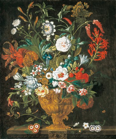 Syyskuu, The Twelve Monthve of Flowers -kukkikalenterista asetelmia tekijältä Pieter Casteels