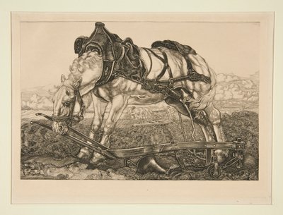 Työhevonen tekijältä Pieter Dupont