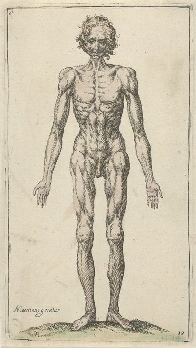 Tutkimus alastomasta miehestä Anatomiset tutkimukset (sarjan nimi) tekijältä Pieter Feddes van Harlingen