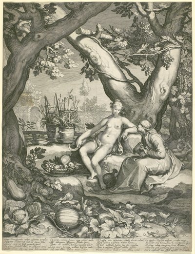 Vertumnus lainaa vanhan naisen hahmoa voittaakseen Pomonas-rakkauden, 1605 (kaiverrus paperille) tekijältä Pieter Janszoon Saenredam