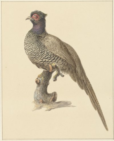  Translation types Text translation  FRISIAN - DETECTED  ENGLISH  SPANISH  FRENCH  FINNISH  POLISH  DANISH Source text Jachtfazant Jachtfazant 11 / 5,000 Translation results Metsästys fasaani More about this source textSource text required for additional t tekijältä Pieter Pietersz. Barbiers