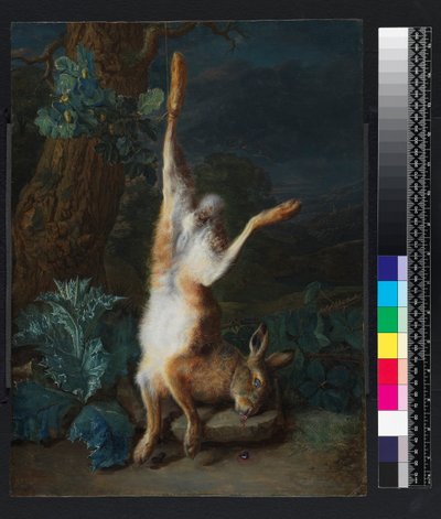 Kuollut jänis, ennen vuotta 1782 tekijältä Pieter Snyers