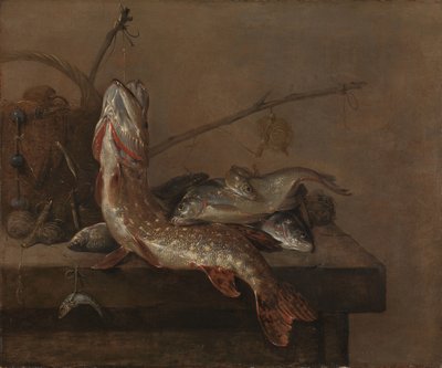 Asetelma kalan kanssa tekijältä Pieter van Noort