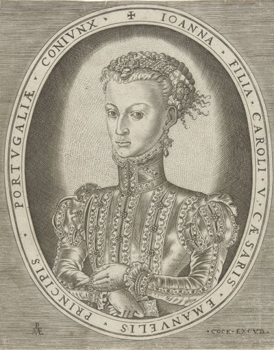 Habsburgin Johannan muotokuva Hallittajien muotokuvia (sarjan nimi) tekijältä Pieter van der Heyden