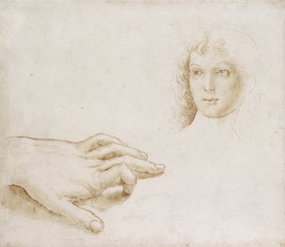 Pään ja käden tutkimukset (kynä ja sivellin vaaleanruskealla musteella metallikärjellä valkoisella paperilla) tekijältä Pietro (circle of) Perugino