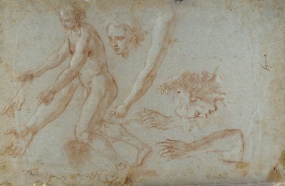 Piirustus tekijältä Pietro Aquila