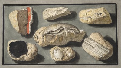 Sir William Hamiltonin (1730-1803) julkaisusta "Campi Phlegraei: Observations on the Volcanoes of the Two Sicilies" Herculaneumista ja sen ympäristöstä löytyneet tufanäytteet, levy XXXXV, julkaistiin 1776 (käsi col) tekijältä Pietro Fabris