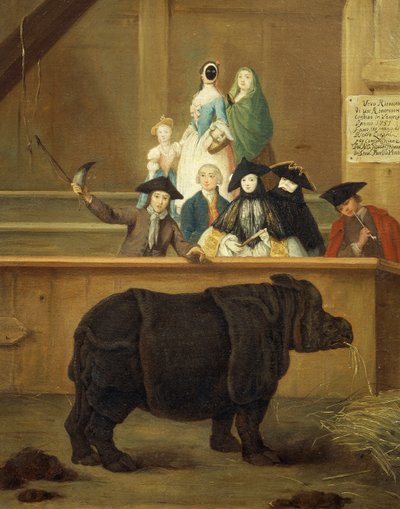 Sarvikuonon näyttely tekijältä Pietro Longhi