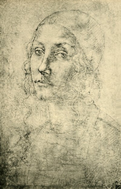 Naisen muotokuva, 1400-luvun loppu - 1500-luvun alku, 1943. tekijältä Pietro Perugino