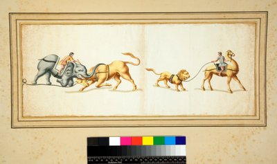 Kopio mosaiikkista, jossa norsu taistelee härkää vastaan (musta liitu, osa kynällä ja ruskealla musteella. värjätty vesivärillä) tekijältä Pietro Santi Bartoli