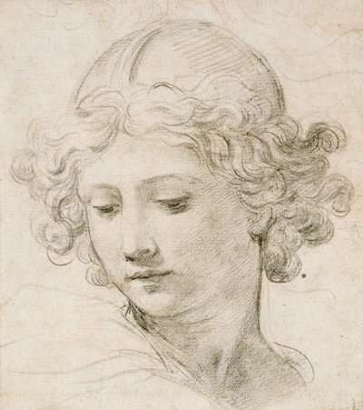 Enkelin pää, joka katsoo alas vasemmalle tekijältä Pietro da Cortona