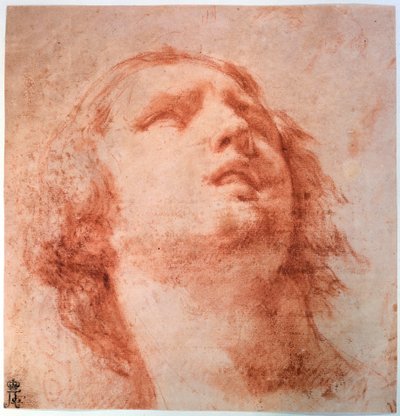 Päätutkimus naisesta, joka katsoo ylöspäin, 1600-luku tekijältä Pietro da Cortona