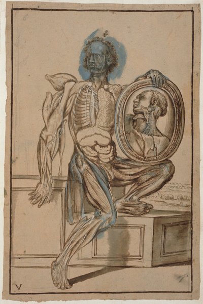 Ms Hunter 653 Taulu V Anatominen piirustus, noin 1610 (lyijykynä ja liitu paperille). tekijältä Pietro da Cortona