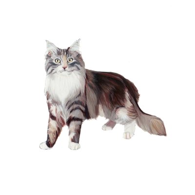  tekijältä Polly Horner