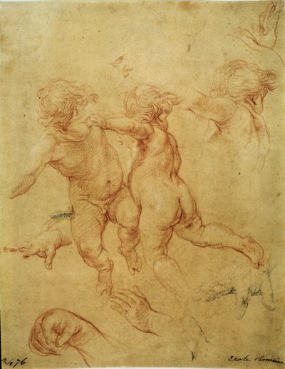 Study For Two Putti (Kaksi lentävää puttia. Study), n.1740 (sanguine) tekijältä Pompeo Girolamo Batoni