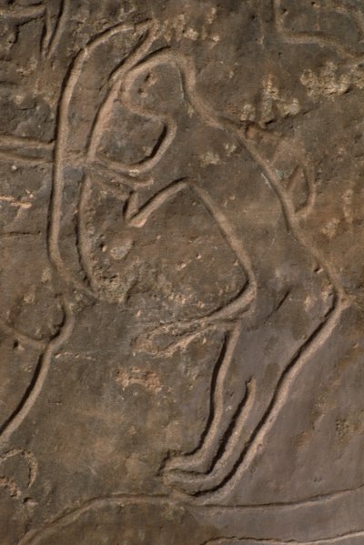 Ihmishahmo ja härän pää (kallioveisto) tekijältä Prehistoric
