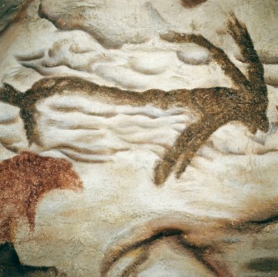 Cervid kalliomaalaus, Cave de Lascaux, Dordogne, Ranska, Yläpaleoliitti (Magdalenian) c. 13000 vuotta sitten (maalaus) tekijältä Prehistoric Prehistoric