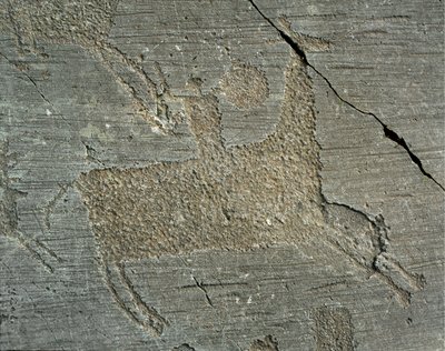 Esihistoria, camunni-sivilisaatio, kalliotaide: hautakallio, joka kuvaa soturia hevosen selässä kilven kanssa. Neoliittisen ja pronssikauden välinen aika. Capo di Ponte, Naquane Rock Carvingsin kansallispuisto, Valcamonica, Val Camonica, Italia tekijältä Prehistoric Prehistoric