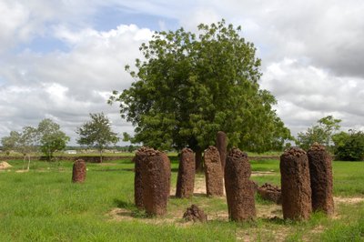 Esihistoria: Megaliittinen kiviympyrä Wassusta, Gambiasta (kuva) tekijältä Prehistoric Prehistoric