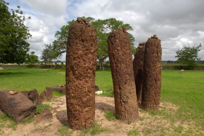 Esihistoria: Megaliittinen kiviympyrä Wassusta, Gambiasta (kuva) tekijältä Prehistoric Prehistoric