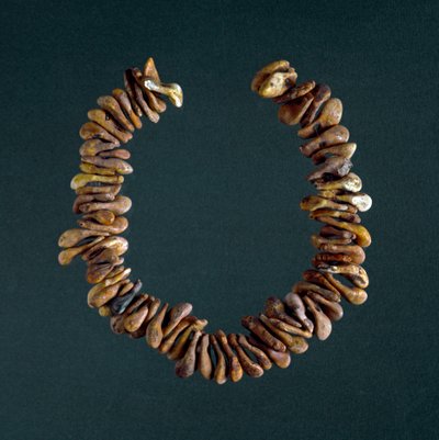 Esihistoria, kivikausi: kaulakoru luista Polesinen luolasta, Venetosta. Rooma, Luigi Pigorinin kansallinen esihistoriallisen etnografian museo tekijältä Prehistoric Prehistoric