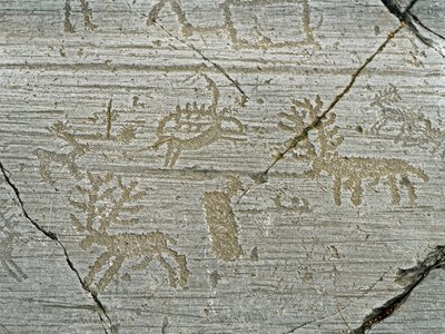 Esihistoria, kamunien sivilisaatio, kalliotaide: peuran esityksen hautakivi. Neoliittisen ja pronssikauden välinen aika. Rock. 1. Capo di Ponte, Naquane Rock Carvingsin kansallispuisto, Valcamonica, Val Camonica, Italia tekijältä Prehistoric Prehistoric