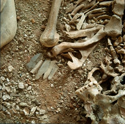 Esihistoria: aikuisten ja lasten kaksoishautaus. Yksityiskohtainen näkymä hautajaisten Candid Arene -luolasta (Finale Liguria), Liguria. Mesoliitti, 7000-6000 eaa. Geenit, museo di archeologia ligure tekijältä Prehistoric Prehistoric