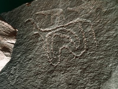Esihistoria, kalliotaide: vakava kallio karjan esityksestä. Tazina tyyli. Kivikausi 5000-2000 eaa. Taghit, Haut plateau du Hoggar (Ahaggar), Algeria tekijältä Prehistoric Prehistoric